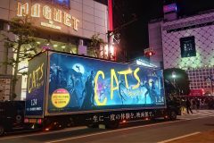 CATS「実写映画化！」