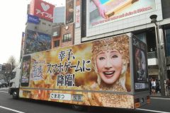 ゴシックは魔法乙女