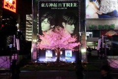 【制作】ライブショーケース