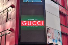 HOUSE OF GUCCI