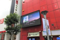 そらる「ワンダー」